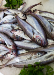 Obraz premium sprat fishes market