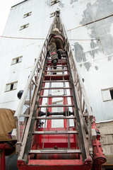 Firefighters extinguish a house