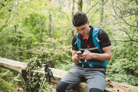 Hiker looking on smartphone in nature