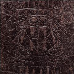 Struktur und Textur von einem Leder Muster.