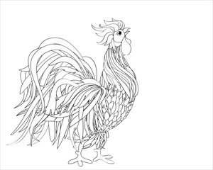 Rooster. Vector. Monochrome. Black and white graphic style. 