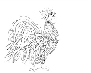 Rooster. Vector. Monochrome. Black and white graphic style. 