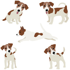 Jack Russell Terrier. Vector Illustration of a dog - 128744038