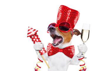 happy new year dog celberation