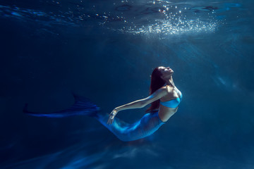 Underwater mermaid - obrazy, fototapety, plakaty