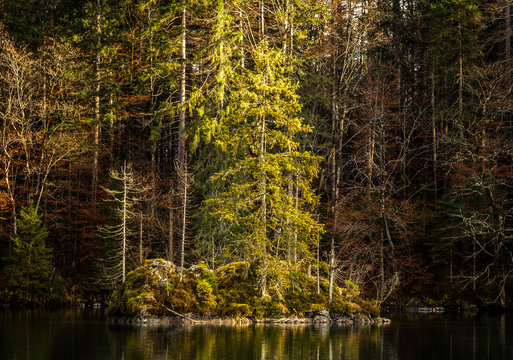 Badersee
