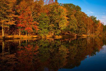 North Carolina Fall