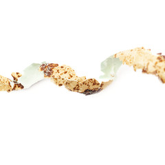 Single quail egg isolated over white background