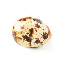 Obraz premium Quail egg shell cracked and isolated over white background