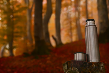 cup and a thermos of tea on an old tree stump. thermos to store hot drinks on a stump in the autumn forest. In the background is softly  of the mystical misty beech forest,  of fallen red leaves.