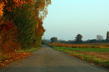 Herbst auf dem Feld und am Waldrand