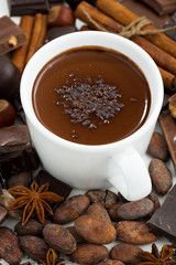 cup of hot chocolate and ingredients, top view