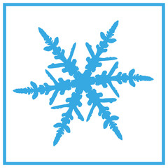Isolated vector Snowflake