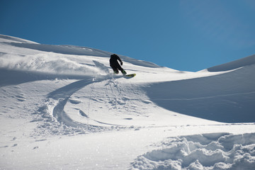 snowboard en poudreuse