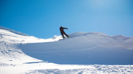 snowboard en poudreuse