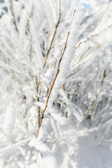 Mostviertel in winter