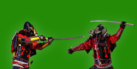 Fototapeta premium Samurai warrior with sword, isolated on the green.