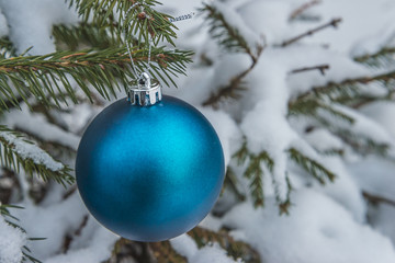 Blue christmas ball on fir branch with snow outdoors