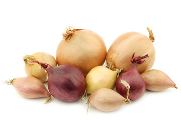 mixed onions on a white background