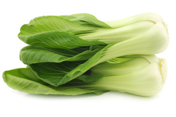 Obraz premium fresh Shanghai (small) paksoi on a white background