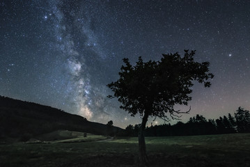 Milky Way Black Forest
