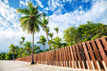 Fototapeta na wymiar The fence on the beach with palm trees