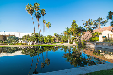 Pond in Balboa park in San Diego