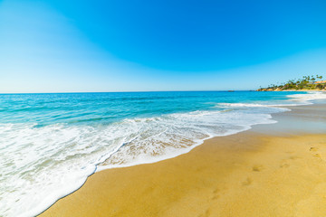 golden shore in Laguna Beach