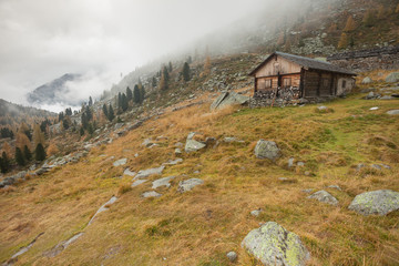 An old closed cowshed at fall in front of a mountain meadow