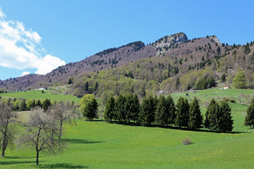 green mountains with Mount Spitz in Tonezza village in Italy
