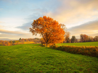 Northern Ireland countryside sunrise