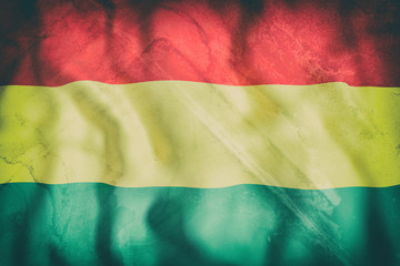 Bolivia flag waving