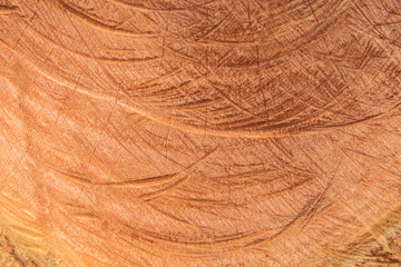Vintage matte tone of natural wood texture of cut tree trunk with annual rings wooden background