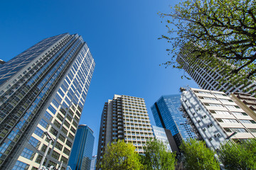 新宿のオフィスビル群