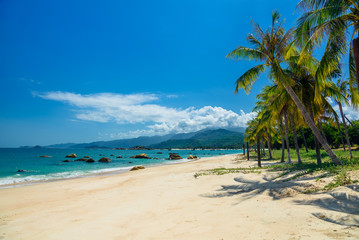 Fototapeta na wymiar Wild beach vietnam, blue sea, sun and palm trees