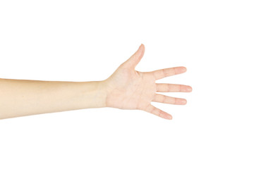 Hand of women on a white background. Isolated.