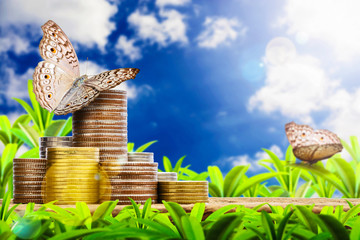 Business concept with money coin stack, butterfly and tree on wood table with lens flare effect