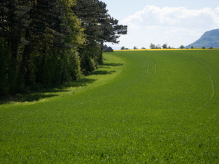 Landschaft