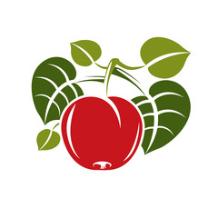 Single red simple vector cherry with green leaves, ripe sweet be