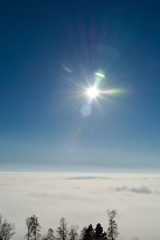 Natur einsamer Baum Sonne und Landschaft