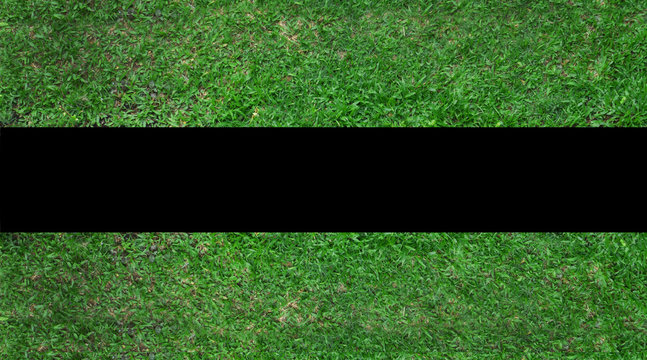 gress nature green  background