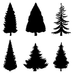 Obraz premium Vector Black Silhouettes of 6 Pine Trees on White Background