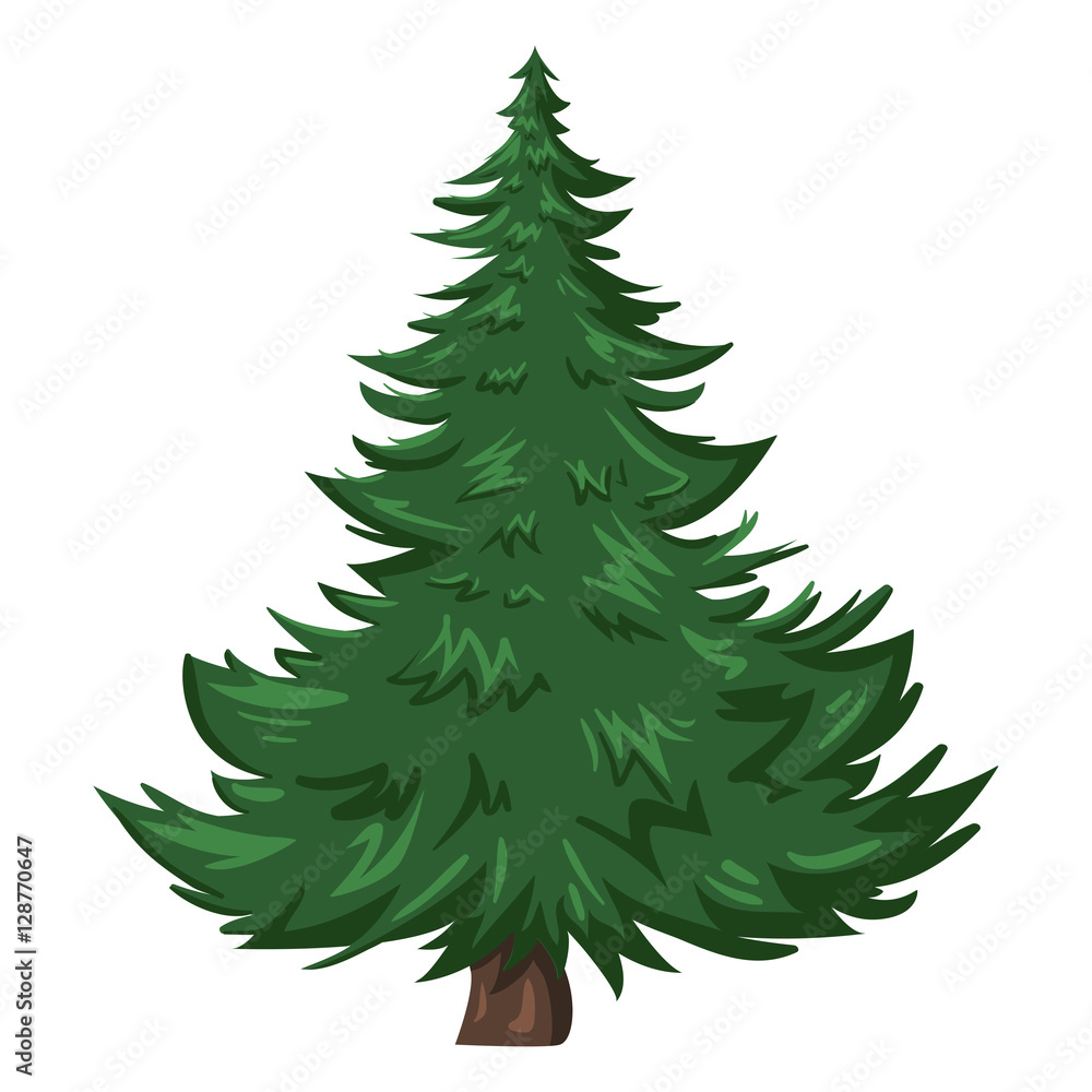 Wall mural vector single cartoon pine tree on white background