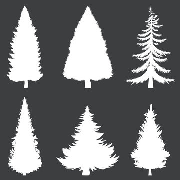 Vector White Silhouettes of 6 Pine Trees on Black Background