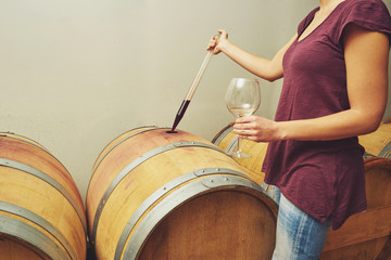 Winemaker getting sample of red wine from barrel.