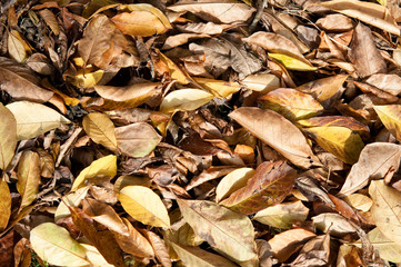 Herbst. Ruhe und Entspannung. Erntezeit