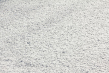 Snow background white in winter day. Season of Cold weather, texture.