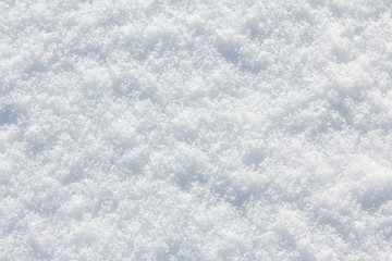 Snow background white in winter day. Season of Cold weather, texture abstract.