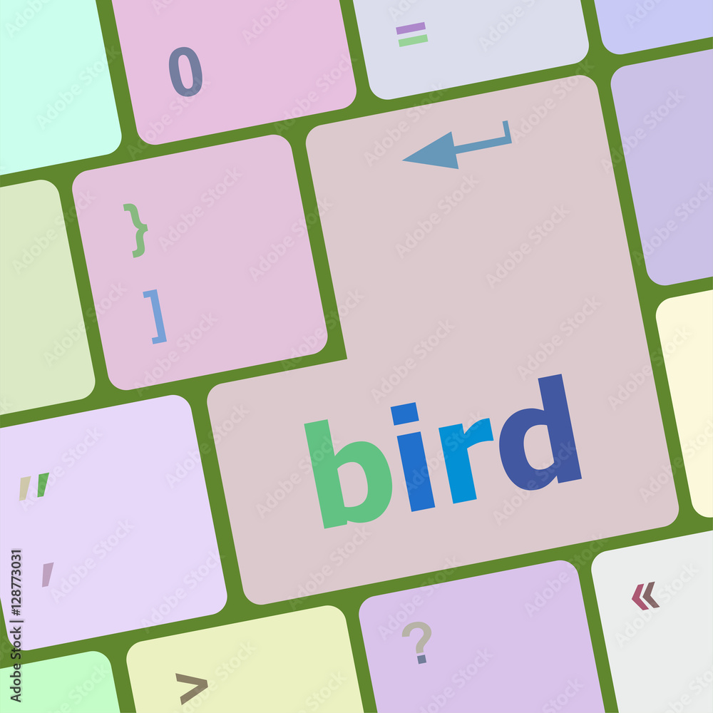 Poster button keyboard key, keypad with bird word