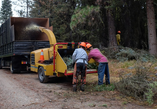 Loggers